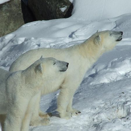 ホテルLapland Igloo ラヌア エクステリア 写真