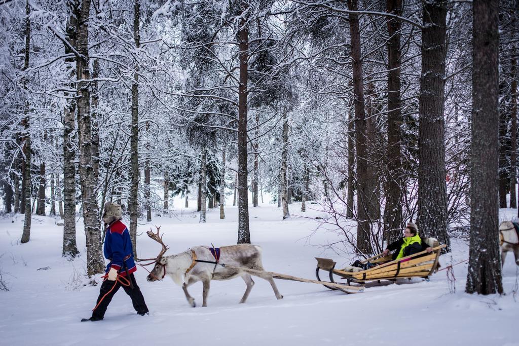 ホテルLapland Igloo ラヌア エクステリア 写真