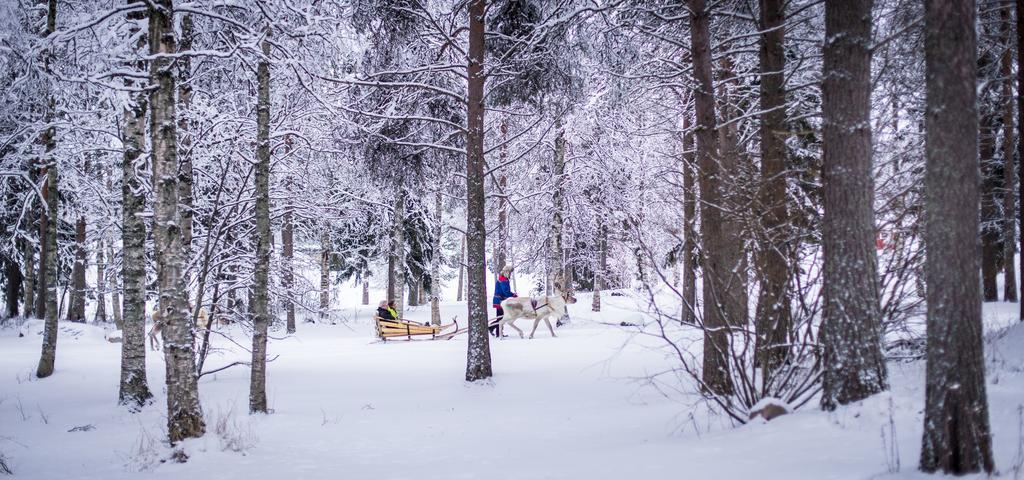 ホテルLapland Igloo ラヌア エクステリア 写真