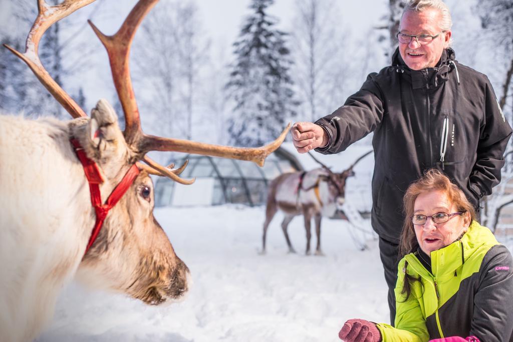 ホテルLapland Igloo ラヌア エクステリア 写真