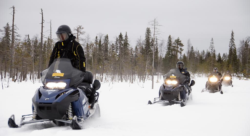 ホテルLapland Igloo ラヌア エクステリア 写真