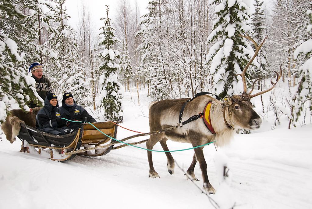 ホテルLapland Igloo ラヌア エクステリア 写真