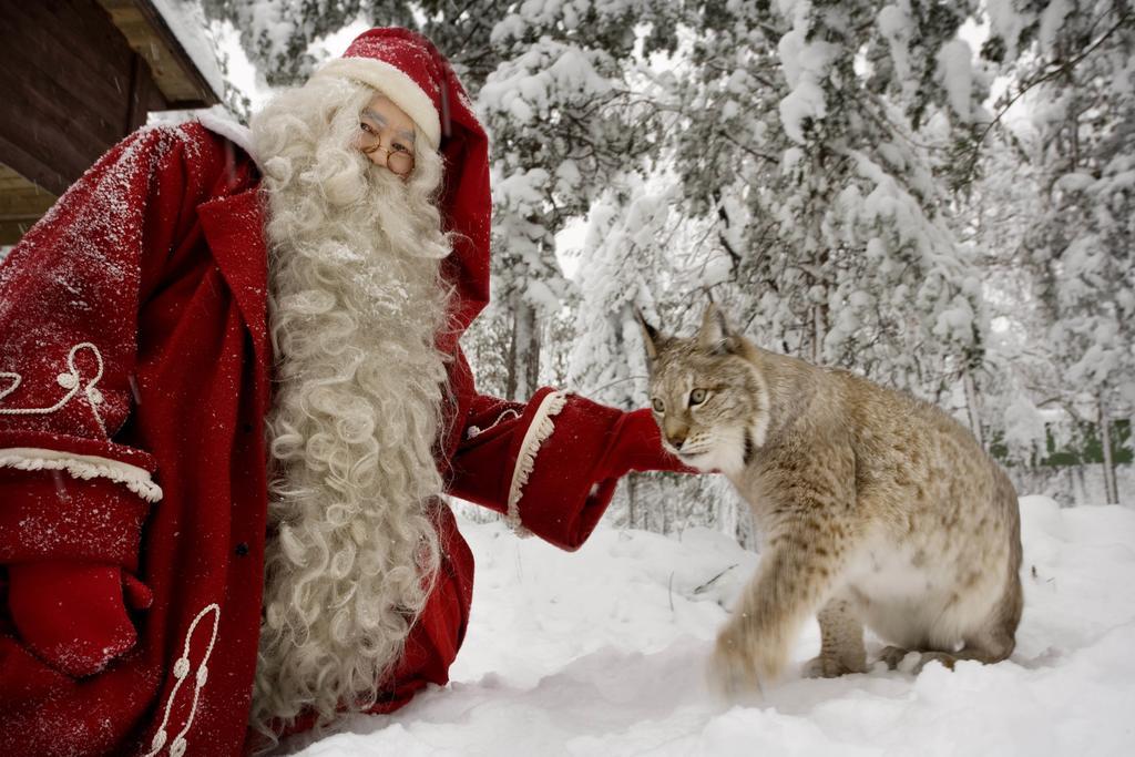 ホテルLapland Igloo ラヌア エクステリア 写真